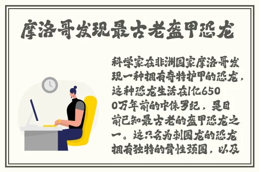 国产精品区一区二区三在线播放