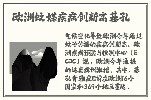 曹留社区2024手机地址